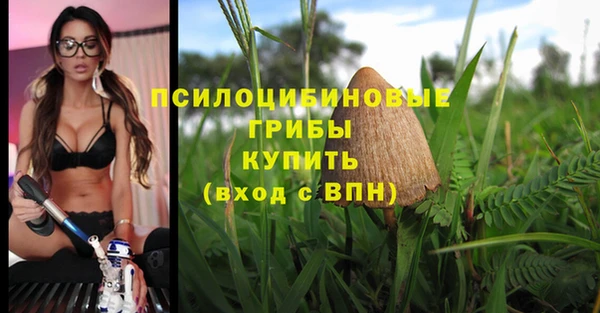 мескалин Армянск